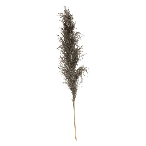 ATMOSPHERA ORNAMENTAL BRANCH PAMPAS 110CM 3/1 DRIED HERBS Ocher - Image 7