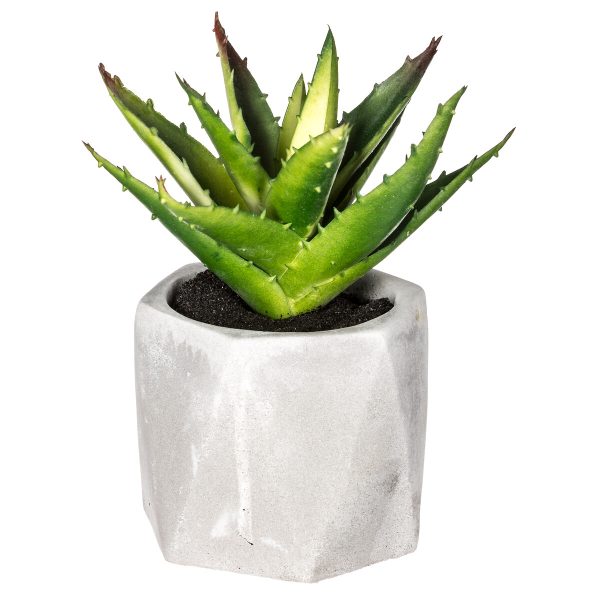 ATMOSPHERA ARTIFICIAL FLOWERS IN JAR SUCCULENTS 7X14CM PVC/CEMENT WHITE