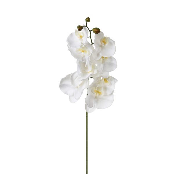 ATMOSPHERA ARTIFICIAL FLOWER ORCHID 108CM PES/PE WHITE - Image 2