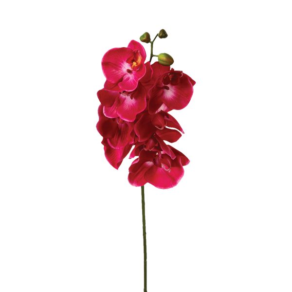 ATMOSPHERA ARTIFICIAL FLOWER ORCHID 108CM PES/PE WHITE - Image 4