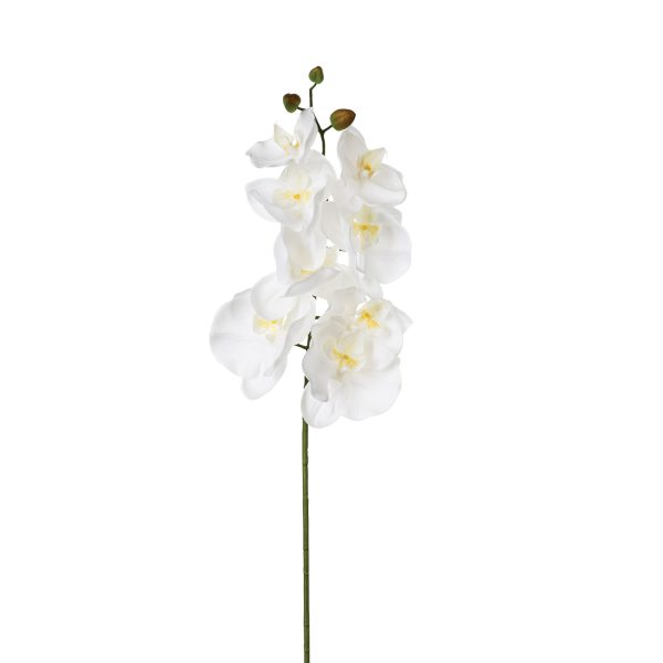 ATMOSPHERA ARTIFICIAL FLOWER ORCHID 108CM PES/PE WHITE - Image 6