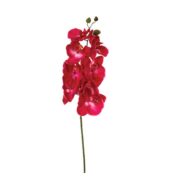 ATMOSPHERA ARTIFICIAL FLOWER ORCHID 108CM PES/PE WHITE - Image 8