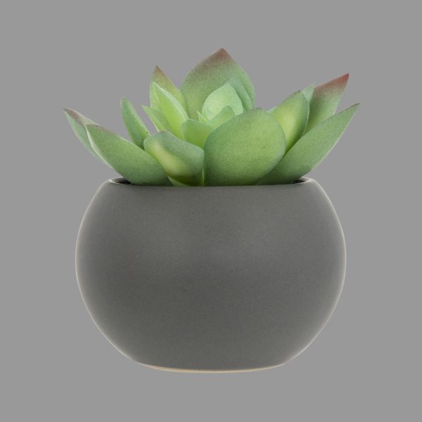 ATMOSPHERA ARTIFICIAL FLOWERS IN JAR SUCCULENTS 13CM PE - Image 2