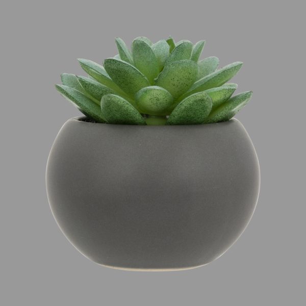 ATMOSPHERA ARTIFICIAL FLOWERS IN JAR SUCCULENTS 13CM PE - Image 8