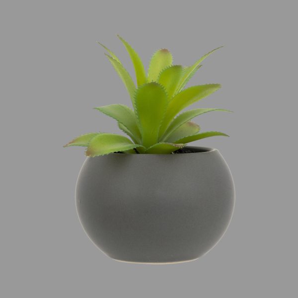 ATMOSPHERA ARTIFICIAL FLOWERS IN JAR SUCCULENTS 13CM PE - Image 19