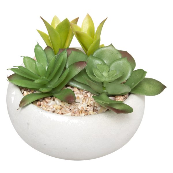 ATMOSPHERA ARTIFICIAL PLANT SUCCULENT IN A CONCRETE POT, 12X12X10.5 CM - Image 2