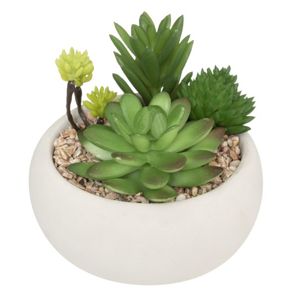 ATMOSPHERA ARTIFICIAL PLANT SUCCULENT IN A CONCRETE POT, 12X12X10.5 CM - Image 3