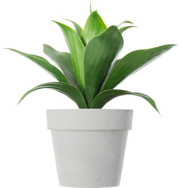 ATMOSPHERA ARTIFICIAL FLOWERS ALOE VERA IN PLASTIC POT 34CM - Image 3