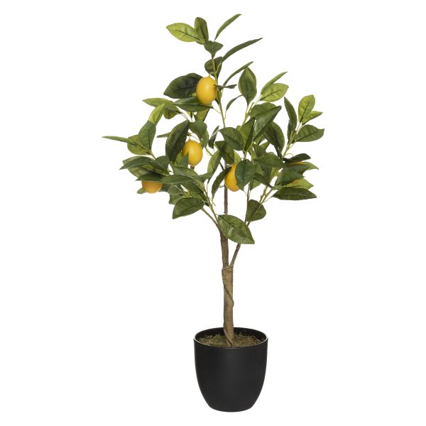 ATMOSPHERA ORNAMENTAL PLANT LEMON TREE 70CM - Image 2