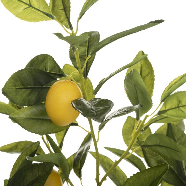 ATMOSPHERA ORNAMENTAL PLANT LEMON TREE 70CM - Image 4