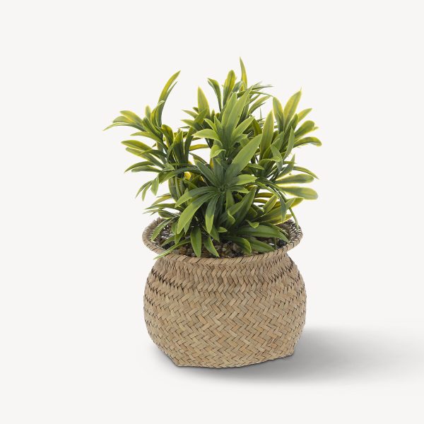 ATMOSPHERA UMJETNO CVIJEĆE JILING U PLATNENOJ POSUDI 20CM BEŽ - Image 4