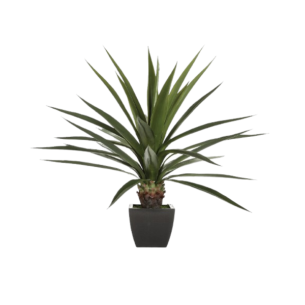 ATMOSPHERA UMJETNA BILJKA U TEGLI AGAVA 130CM - Slika 4