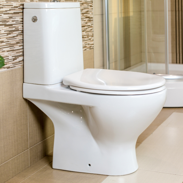 GEPARD SANITARY WC DASKA 42,5x37,3 cm, 2,15 kg, DUROPLAST, OKOV C9, BF+TFP-SC/TAKE OFF, BIJELA SELECTA - Slika 6