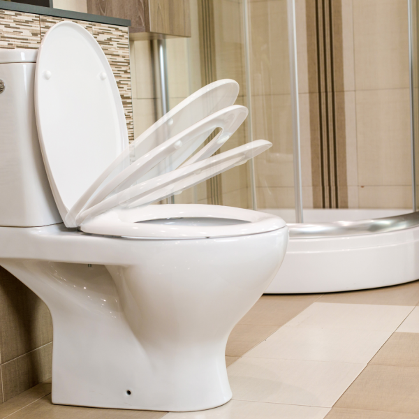 GEPARD SANITARY WC DASKA 42,5x37,3 cm, 2,15 kg, DUROPLAST, OKOV C9, BF+TFP-SC/TAKE OFF, BIJELA SELECTA - Slika 8
