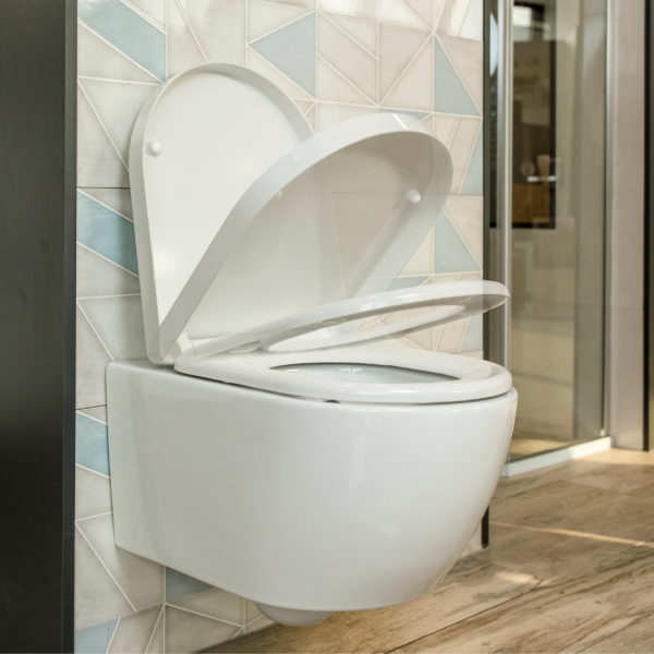 GEPARD SANITARY WC DASKA 45,5x36,2 cm, 2,78 kg, DUROPLAST, OKOV C9, BF+TFP-SC/TAKE OFF, BIJELA TAORMINA - Slika 6