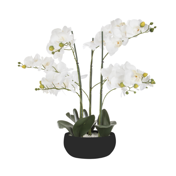 ATMOSPHERA ARTIFICIAL FLOWERS IN A JAR ORCHID 65CM PE/CEMENT BLACK - Image 4