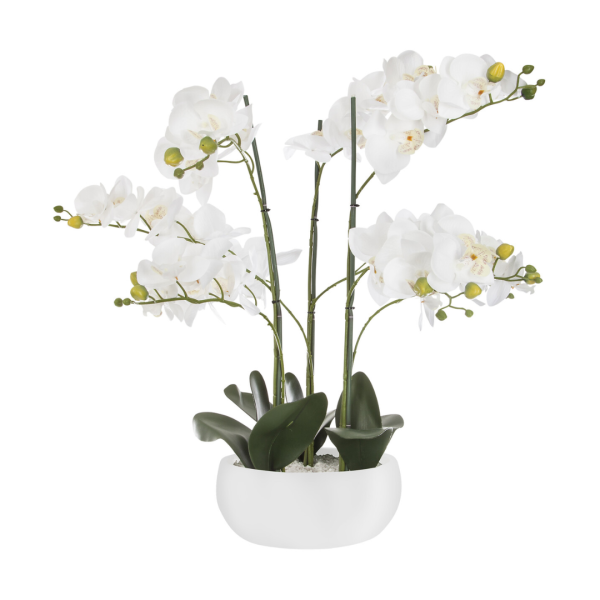 ATMOSPHERA ARTIFICIAL FLOWERS IN A JAR ORCHID 65CM PE/CEMENT WHITE - Image 4
