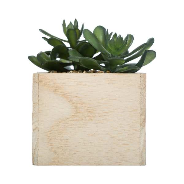 ATMOSPHERA ARTIFICIAL FLOWERS IN JAR 14CM PVC/POLYSTYRENE - Image 8