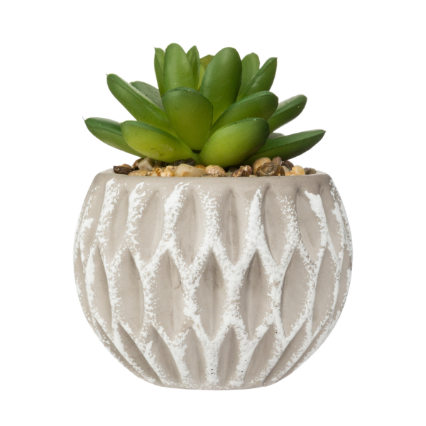 ATMOSPHERA ARTIFICIAL FLOWERS IN JAR 9CM PVC/CEMENT GRAY - Image 6